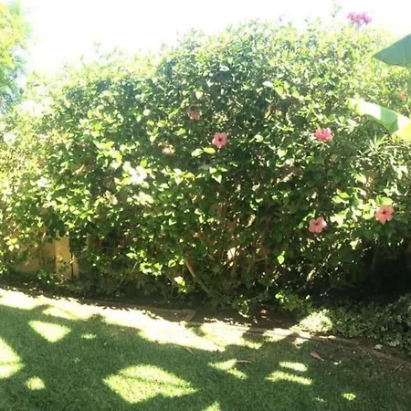 Bonita Casa En La Playa Con Jardin Holiday home